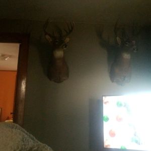 Meet your Posher, Mitchell